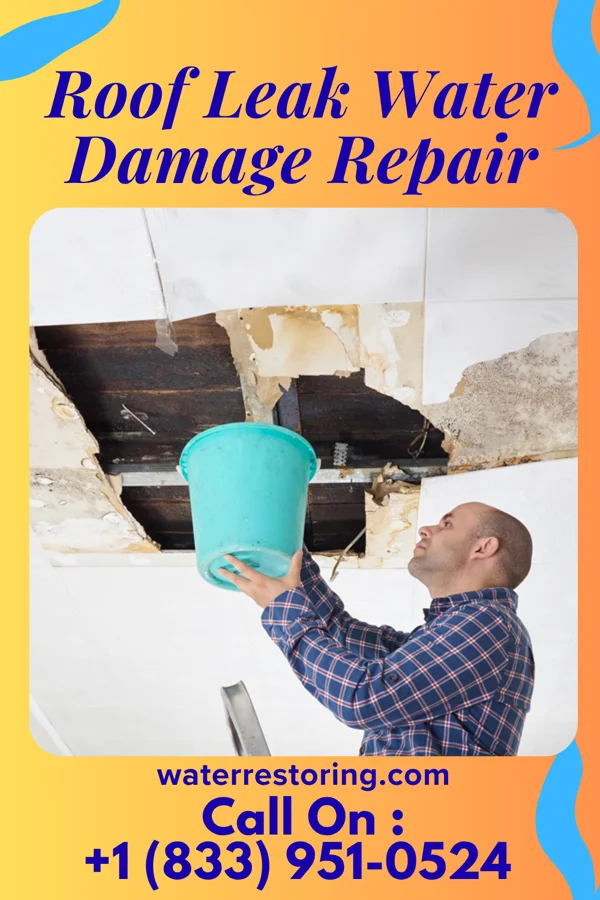 Roof Leak Water Damage Repair in Heath, TX