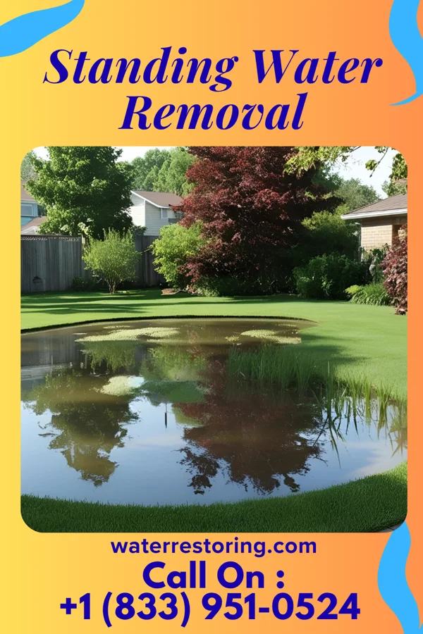 Standing Water Removal in Heath, TX